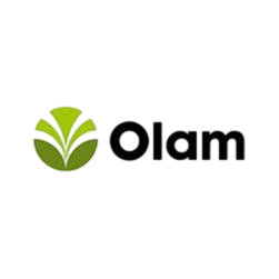 Olam